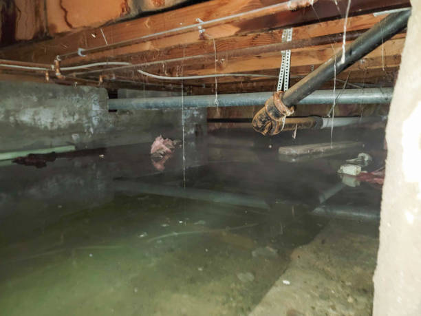 Best Water damage restoration cost  in Frenchtown, NJ