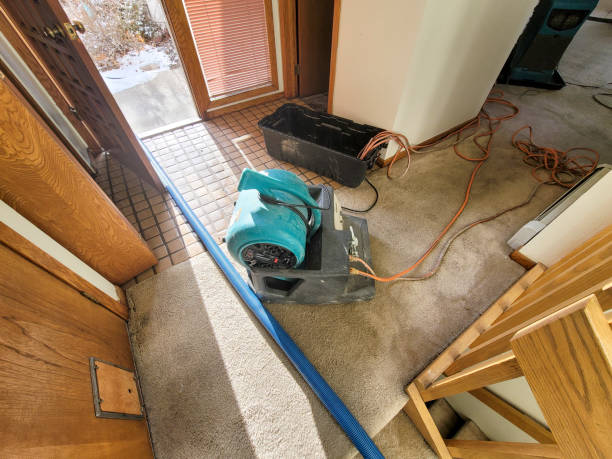 Best Carpet water damage restoration  in Frenchtown, NJ