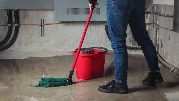 Best Water damage contractors near me  in Frenchtown, NJ