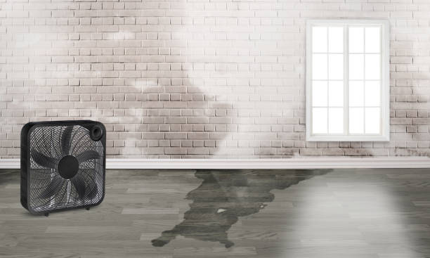  Frenchtown, NJ Water damage restoration Pros