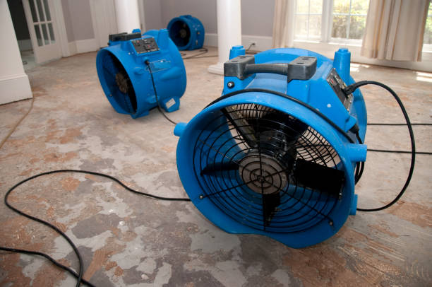 Best Ceiling water damage repair  in Frenchtown, NJ