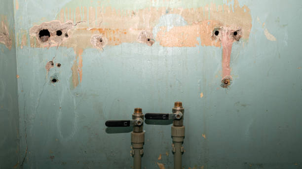 Best Water damage cleanup near me  in Frenchtown, NJ