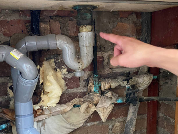Best Water damage restoration near me  in Frenchtown, NJ